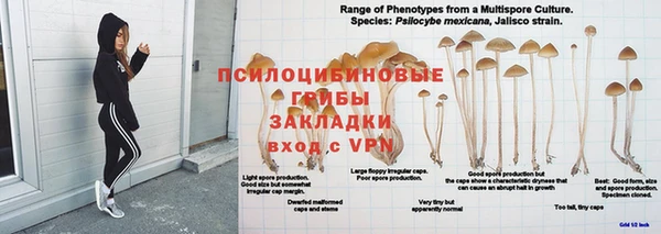 мяу мяу мука Каменка